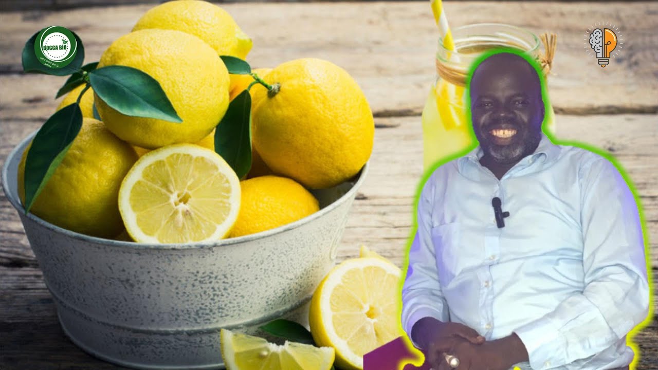 Le Citron ( Citrus ou limon ) Pr Ousmane Ndiaye - SAMA XALAAT TV