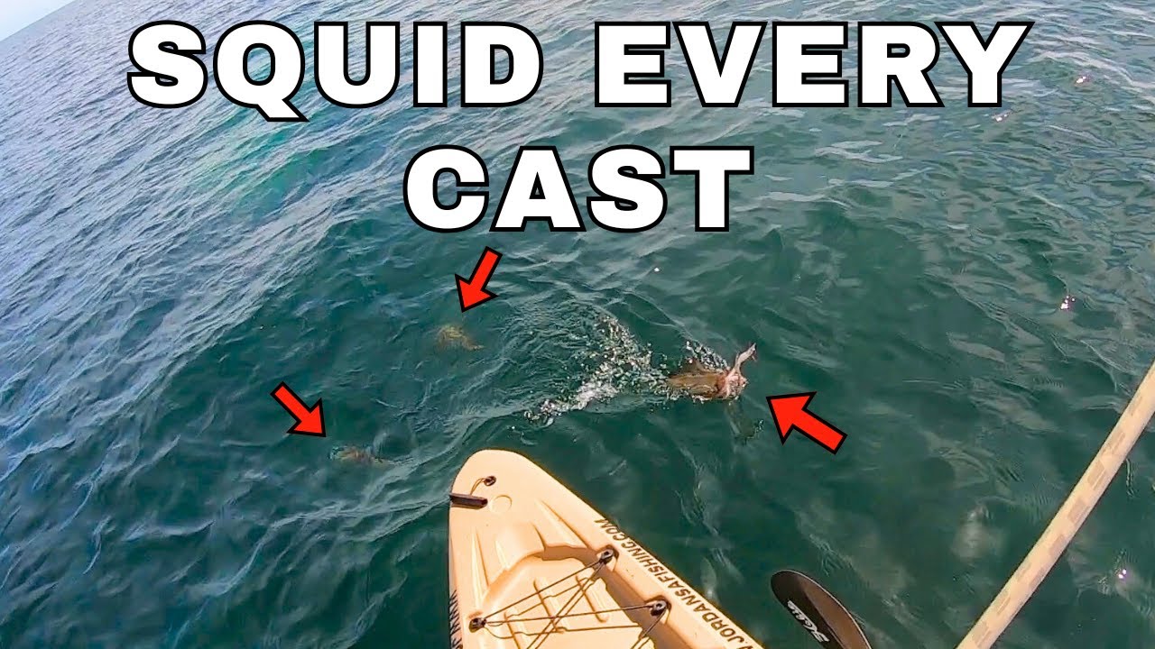 FISHING Like THIS Should Be ILLEGAL (Must Watch Footage)
