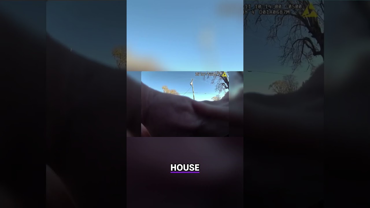 Confronting Intoxicated Driver  Safety First Strategies