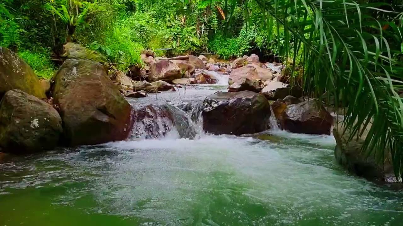 Green River Flow For Daily Calm | 1 Hour Nature Sounds for Peaceful Everyday Moments