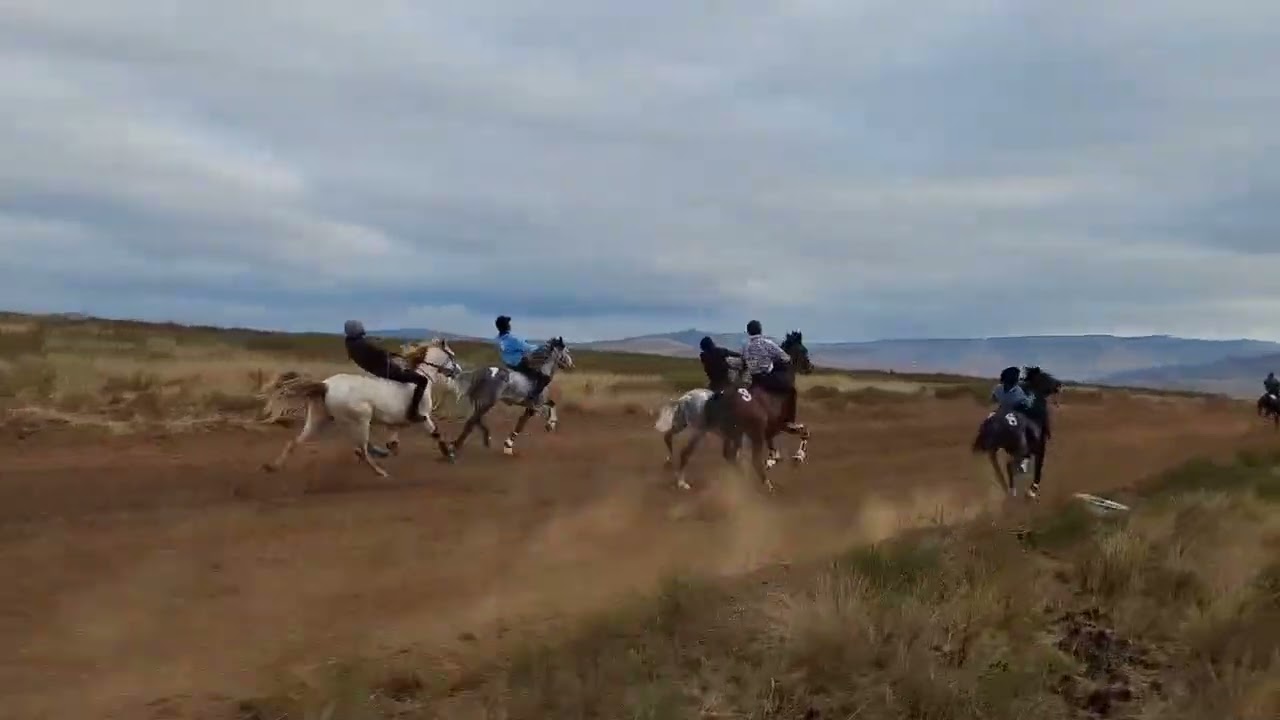 Umzimkulu Grade 2  07/09/2024 #traditionalhorseracing #horse #horseriding #horseracing