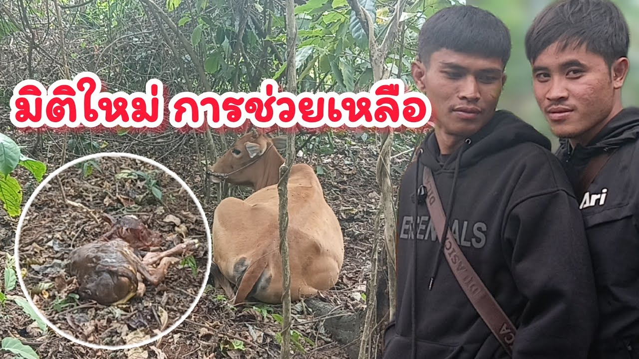 การที่จะช่วยเหลือ เราจะไม่เลือกว่าคน หรือ สัต 4 กุมภาพันธ์ ค.ศ. 2026