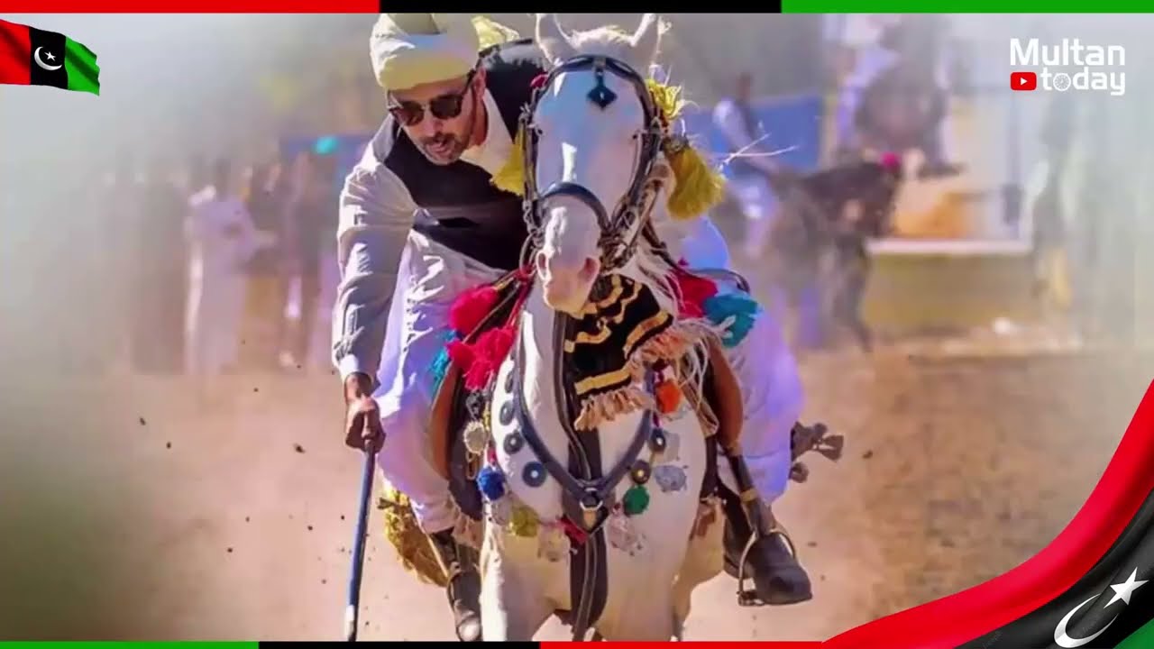 Musa Tera Teer Chalega | Syed Ali Musa Gillani NA 151 | New PPP Official Video Song 2024