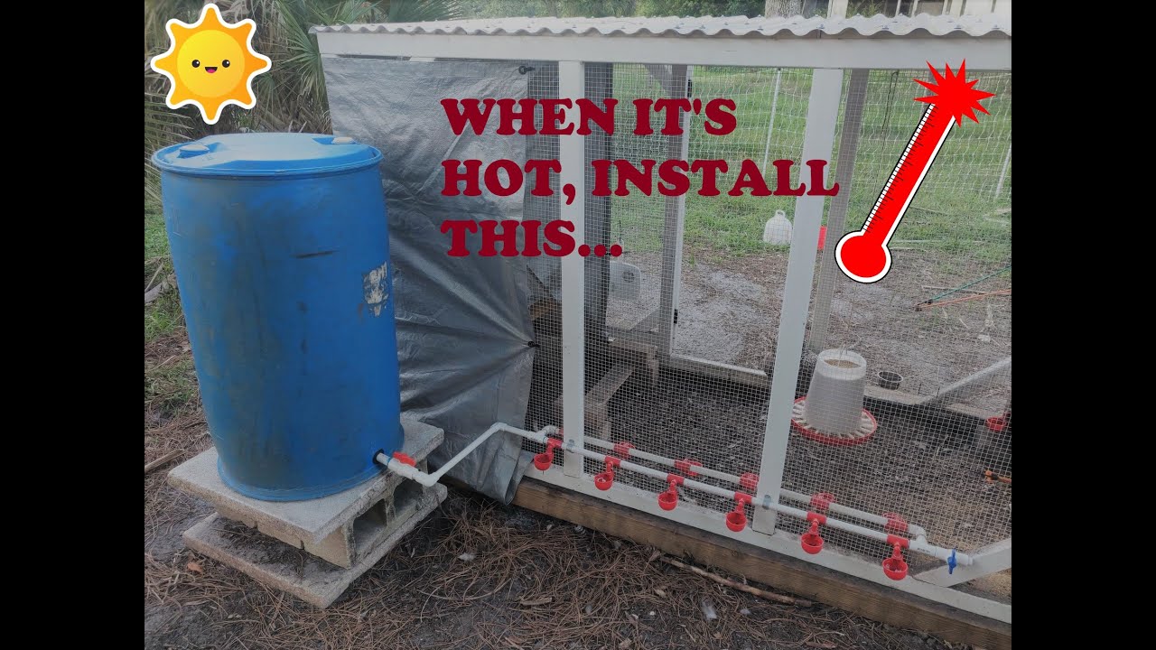 Another Automatic Chicken Waterer