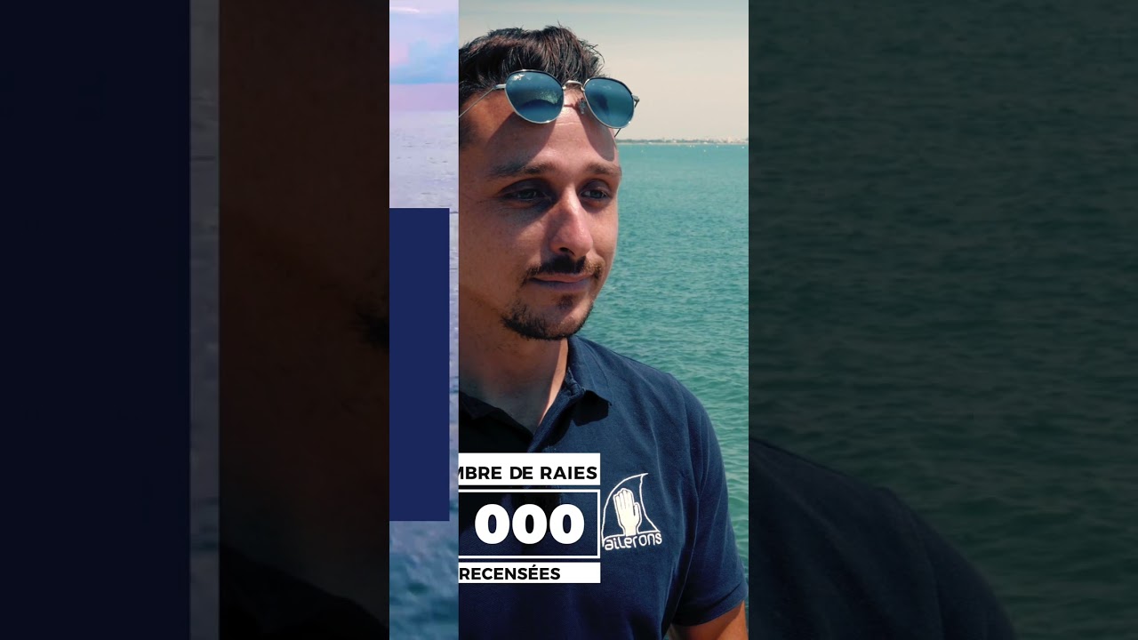 Association AILERONS spécialisée dans la préservation des requins et des raies de méditerranée. 🦈