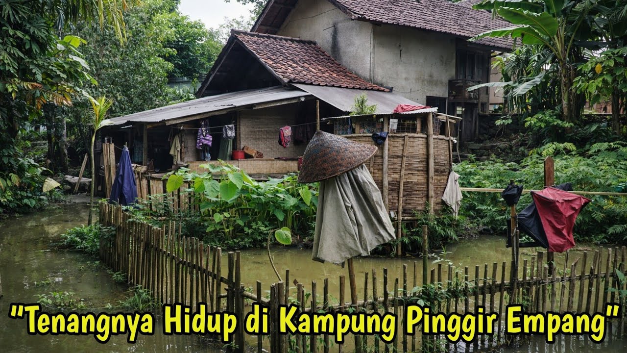 Kehidupan Kampung Sunda di Pinggir Empang | Suasana Desa Asri & Damai