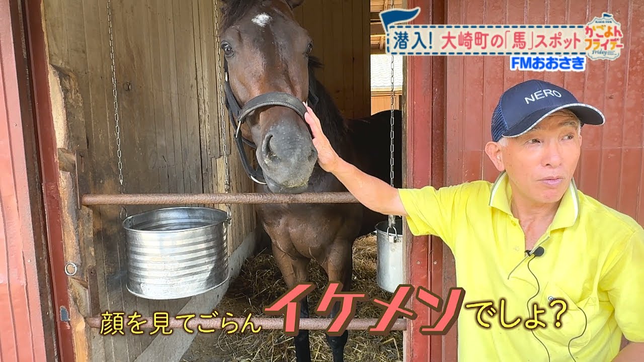 競走馬のふるさと？！大崎町の「馬」スポットを大調査【かごよんフライデー】