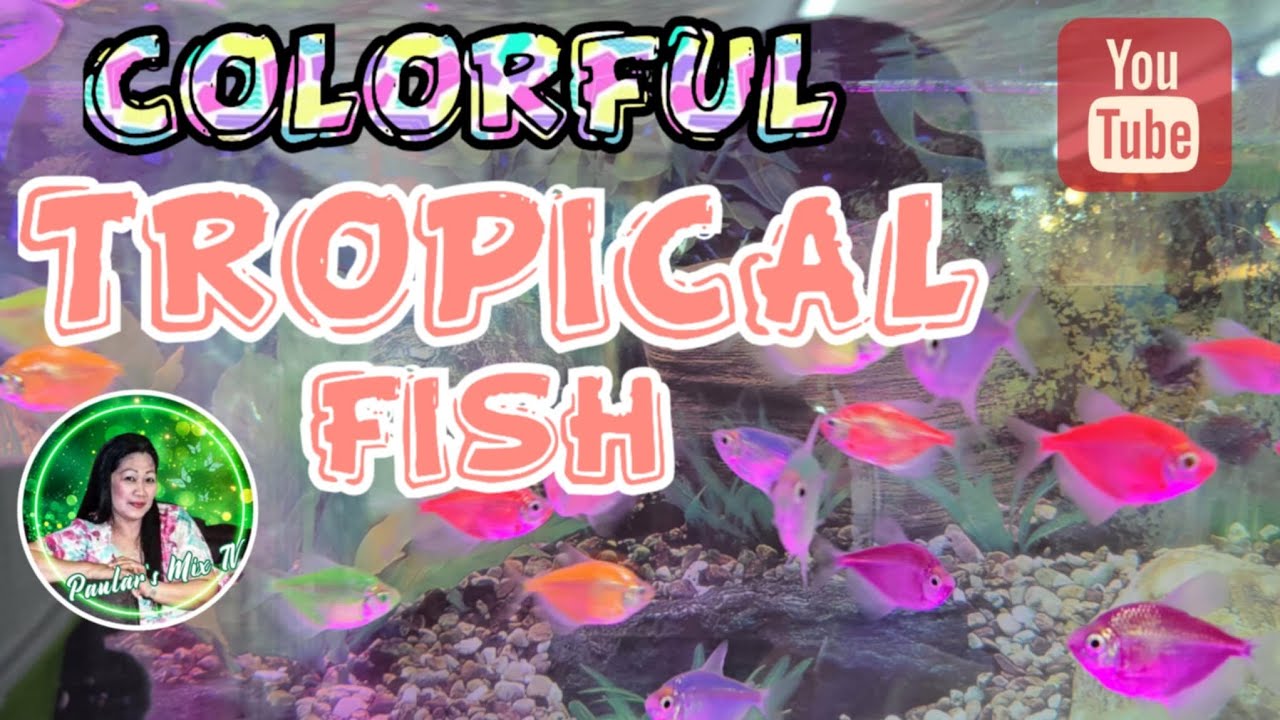 Featuring the colorful tropical fish