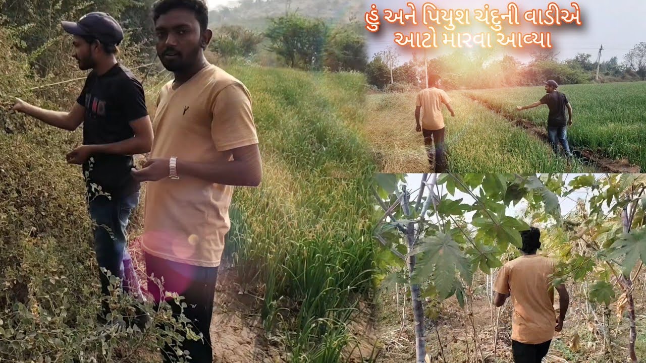  હું અને પિયુષ નીકળી ગયા ચંદુ ને મળવા