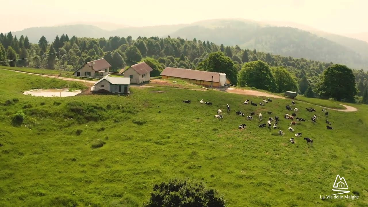 Malga VALBELLA | La Via delle Malghe, Altopiano dei Sette Comuni