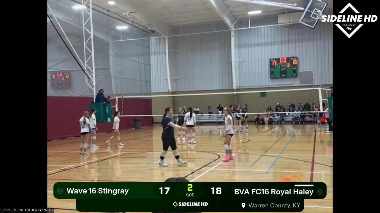 Wave 16 Stingray @ BVA FC16 Royal Haley (2026.03.14)
