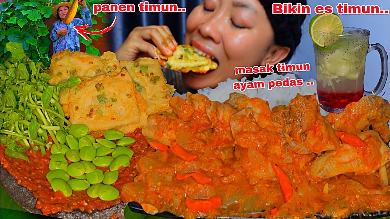 PANEN TIMUN TANAMAN SENDIRI, MASAK TIMUN PEDAS AYAM & BIKIN ES TIMUN SEGER🤤💦‼️