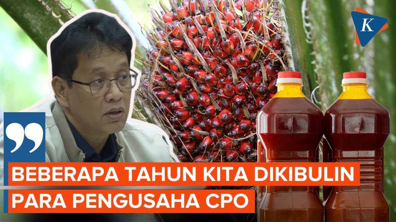 Purbaya Sebut Indonesia Dikibuli Pengusaha CPO, Pemerintah Pegang Bukti Awal