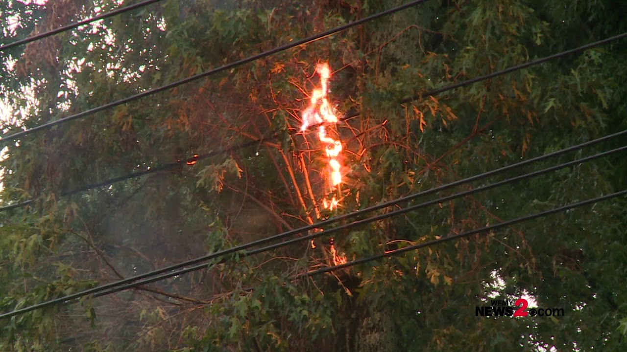 Power Line Sparks Tree Fire in Greensboro