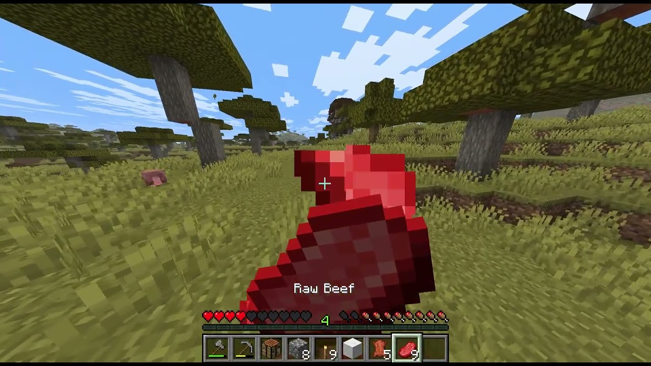 igramo minecraft part 1