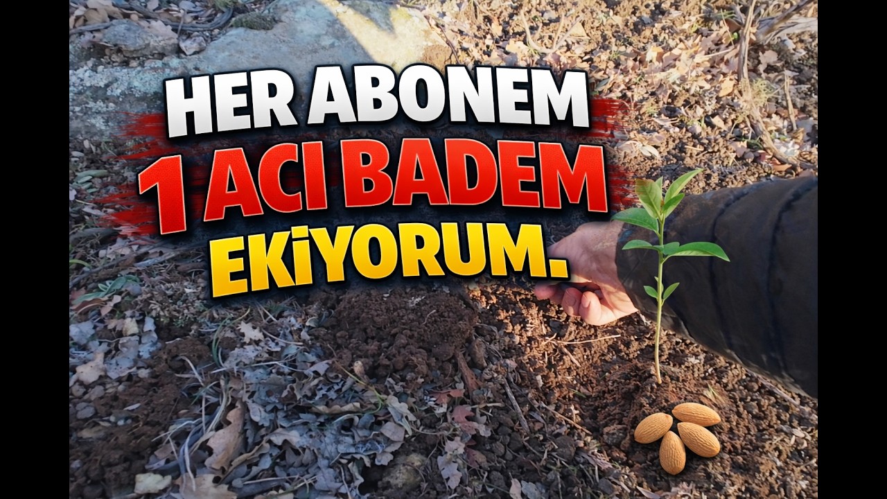 HER ABONEM için 1 ACIBADEM Ekiyorum - (Bugüne kadar ekilen tohum: 12.540)