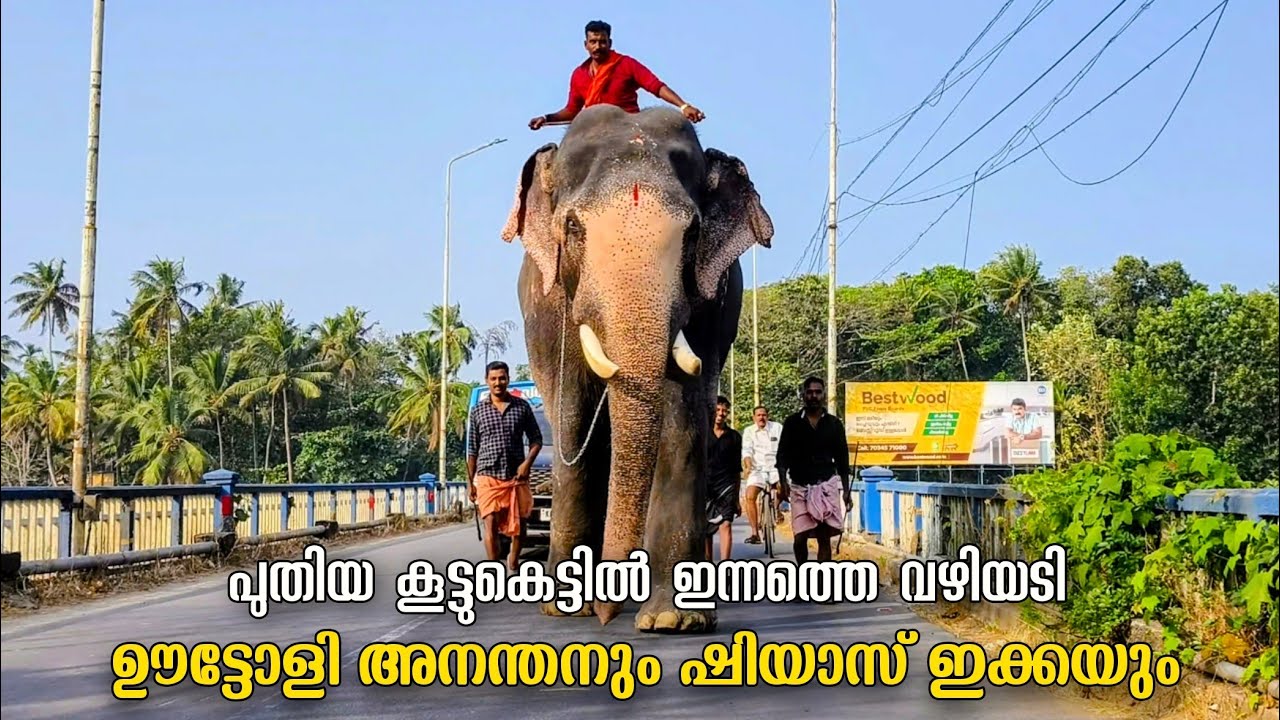 ഇന്ന് പുതിയ സീസണിലെ ആദ്യ പരിപാടിക്കായി വഴിയടിച്ച് പോകുന്ന  ഊട്ടോളി അനന്തൻ😍🥰  | Uttoly Anandhan