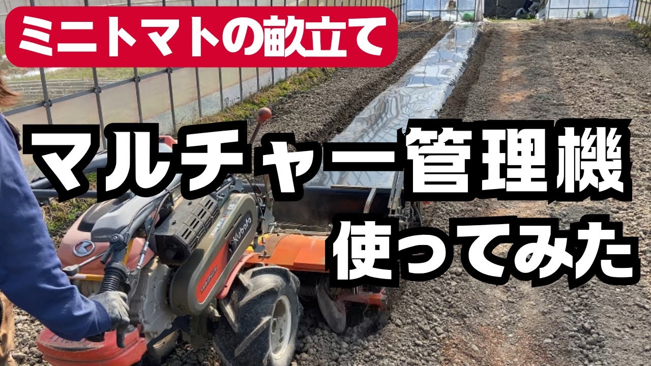 【マルチャー管理機の使い方】ミニトマトの畝立て