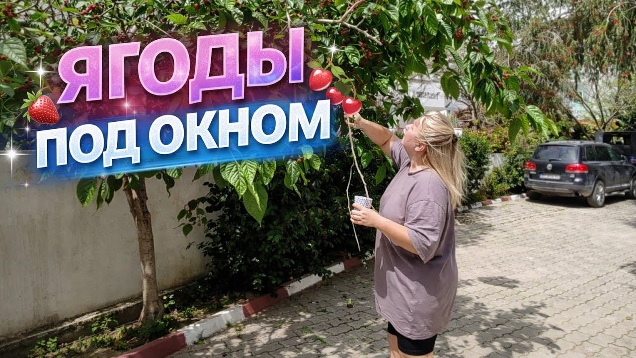 Утро в Анталии 🇹🇷 собираем шелковицу и моем машину #влог 