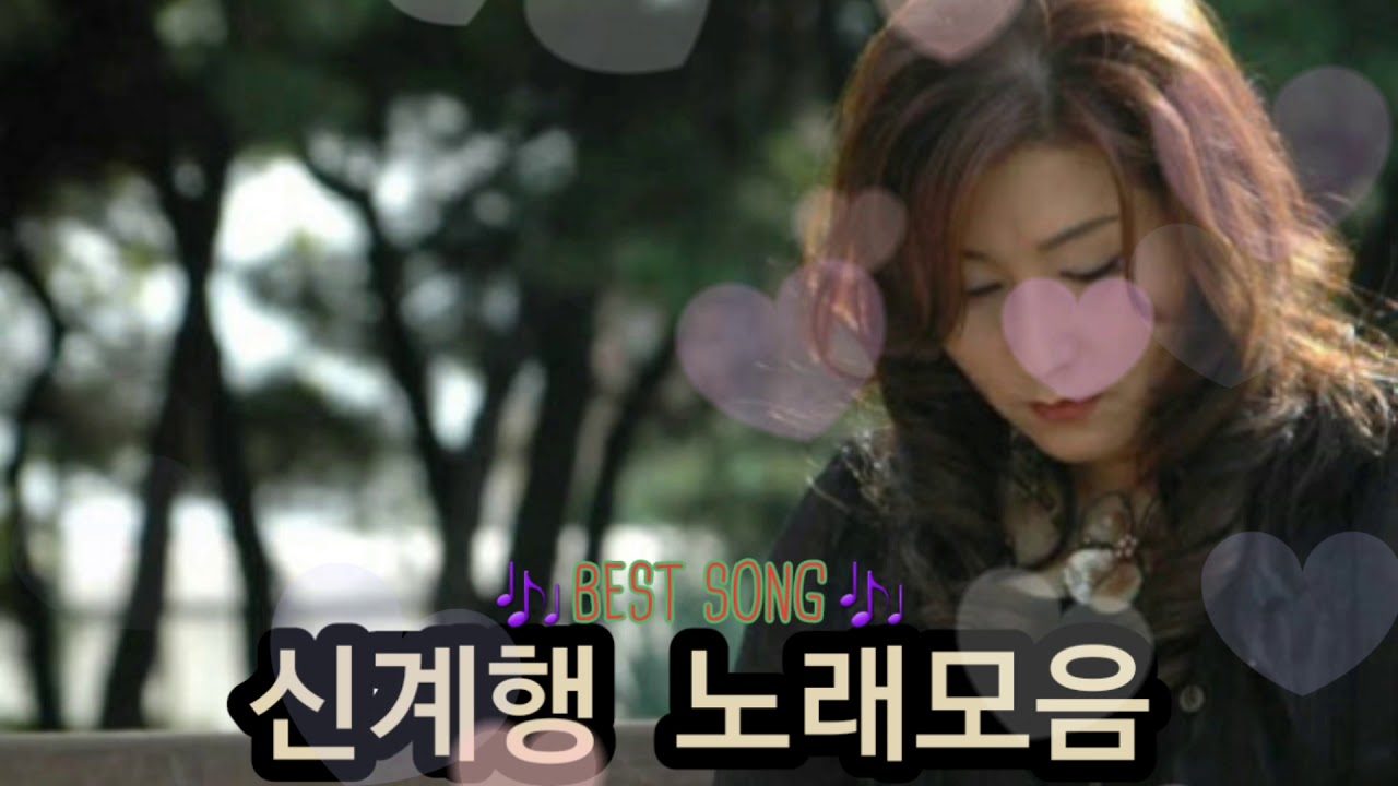 ❤신계행 노래모음 [BEST6곡]자동재생🎶