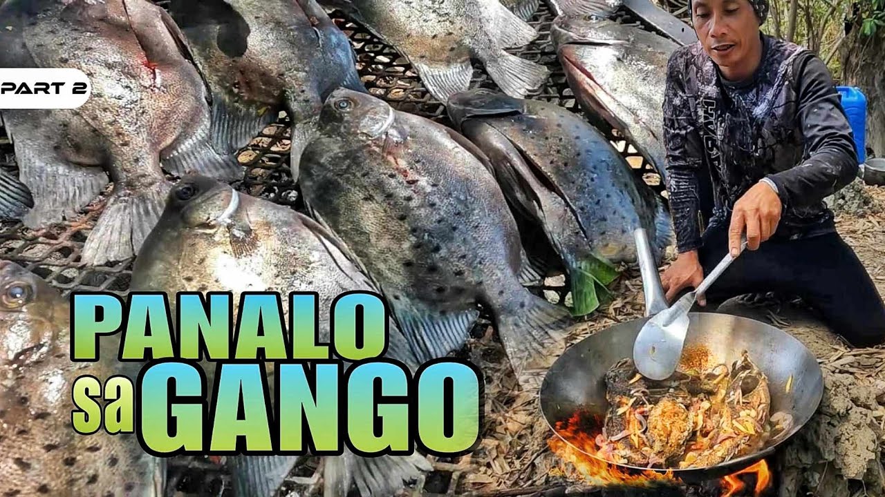 P2-PANALO SA GANGO - EP1268