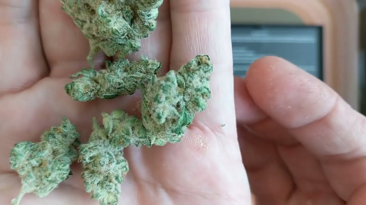 Chemdog#4 Trulieve Leesburg