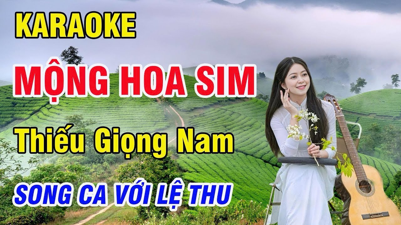 Mộng Hoa Sim- Karaoke Thiếu Giọng Nam ( st :Thiên Tú) Song Ca Với Lệ Thu