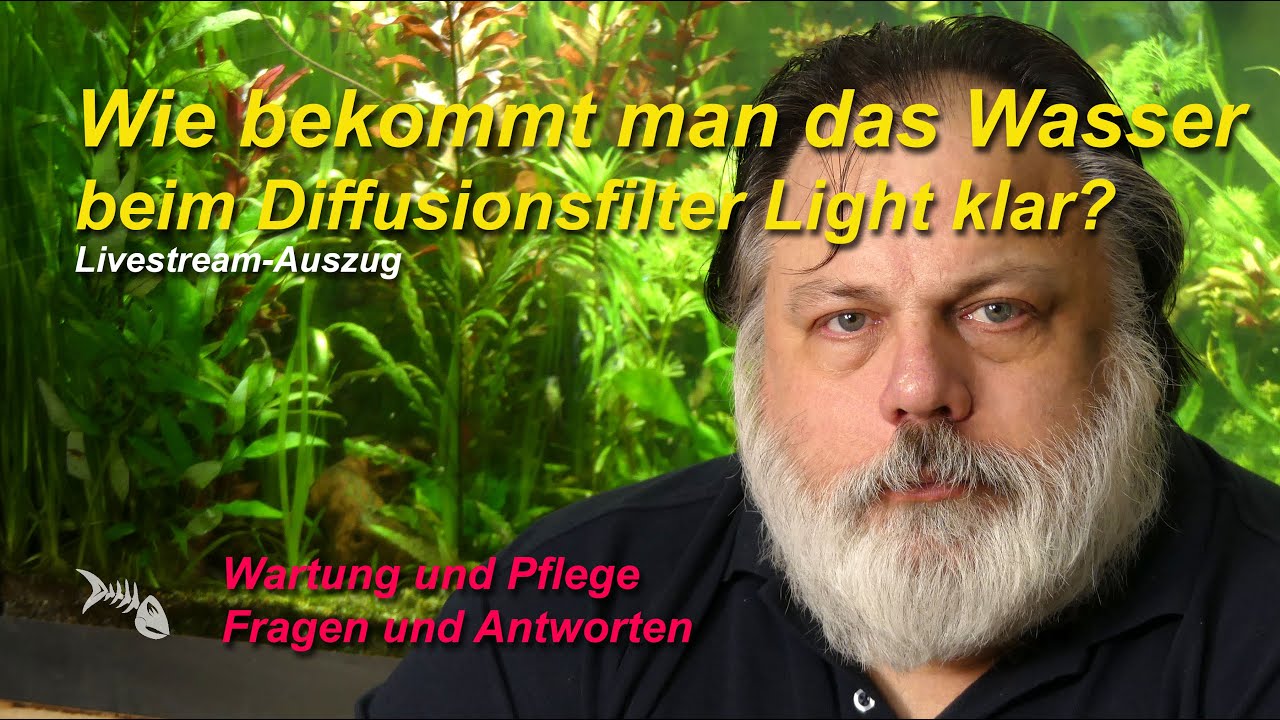 Schwebeteilchen im Aquarium. Wie bekomme ich das Wasser beim Diffusionsfilter Light klar?