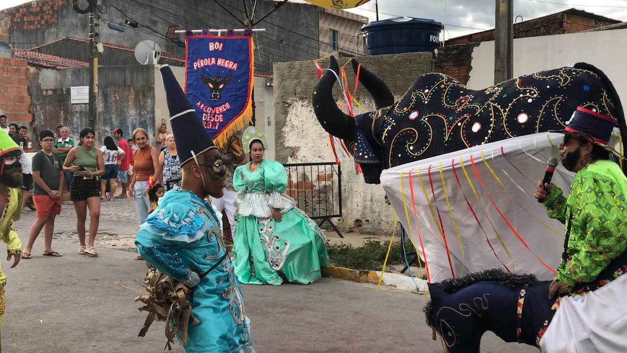 Boi Pérola Negra Carnaval 2025 - Polo JK - Arcoverde-PE
