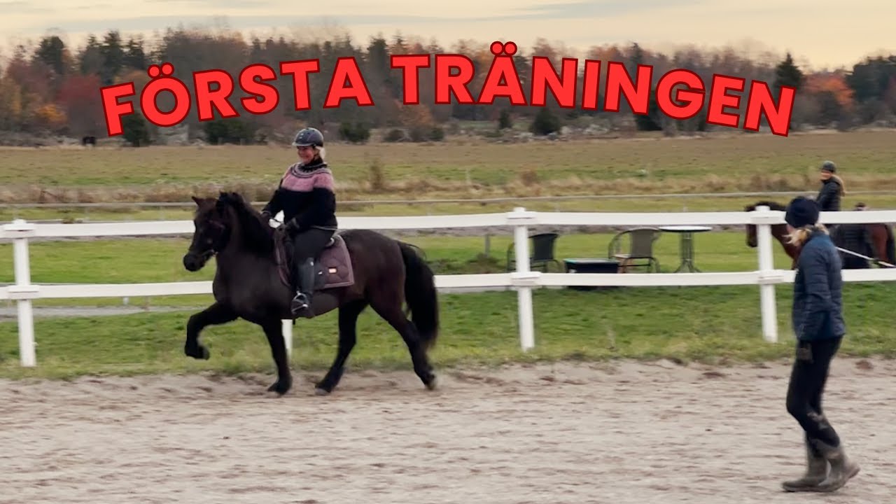 STALLVLOG: VÅR FÖRSTA TRÄNING MED TRÄNARE!