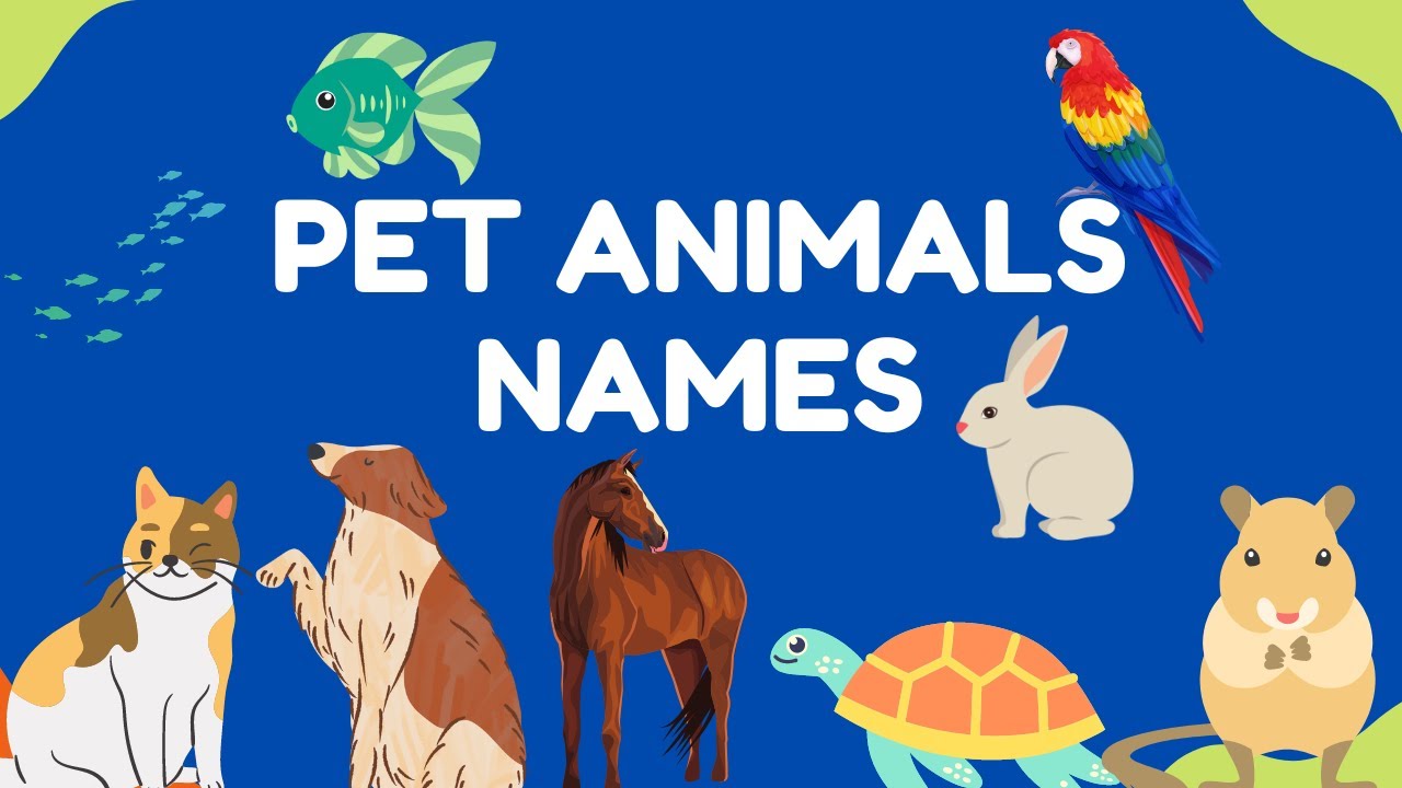 Pet Animals Names with Pictures | Pet Animals with Pictures