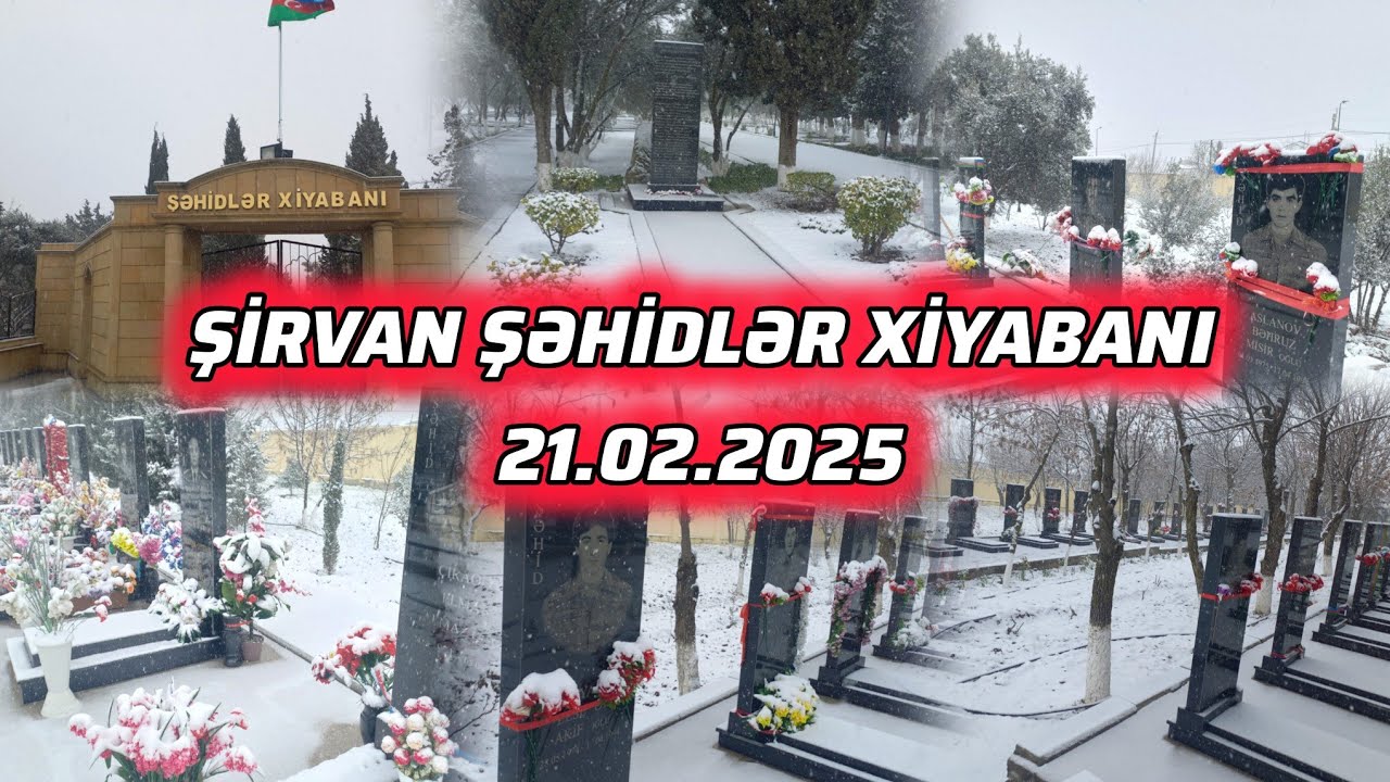 Şirvan Şəhidlər Xiyabanı ( Qarlı bir gün ) 21.02.2025