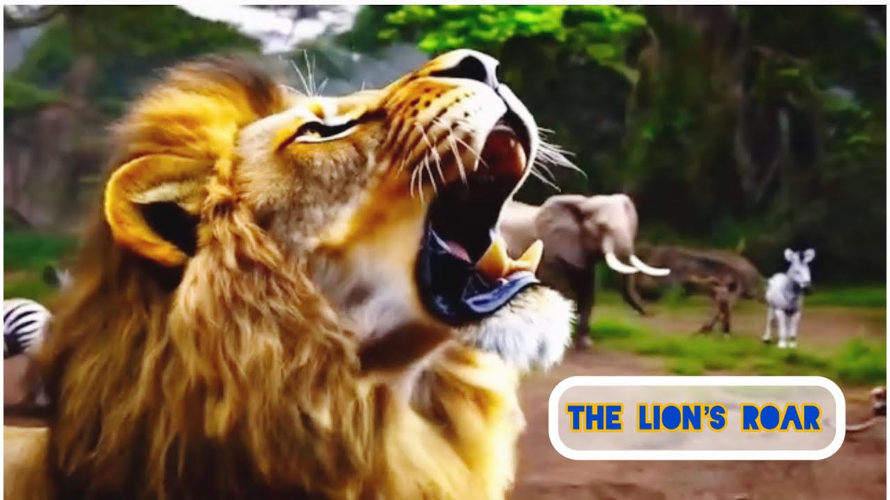 The Roaring  fun for kids 🦁 🌳🦌