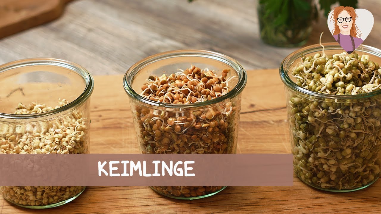 🌱💧Keimlinge - Anleitung: So züchtest du deine eigenen Sprossen selbst | vegan basisch