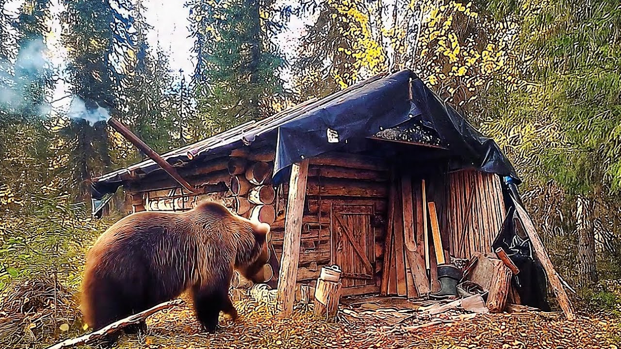 Off-Grid Solo Living Turned Dangerous When This Happened