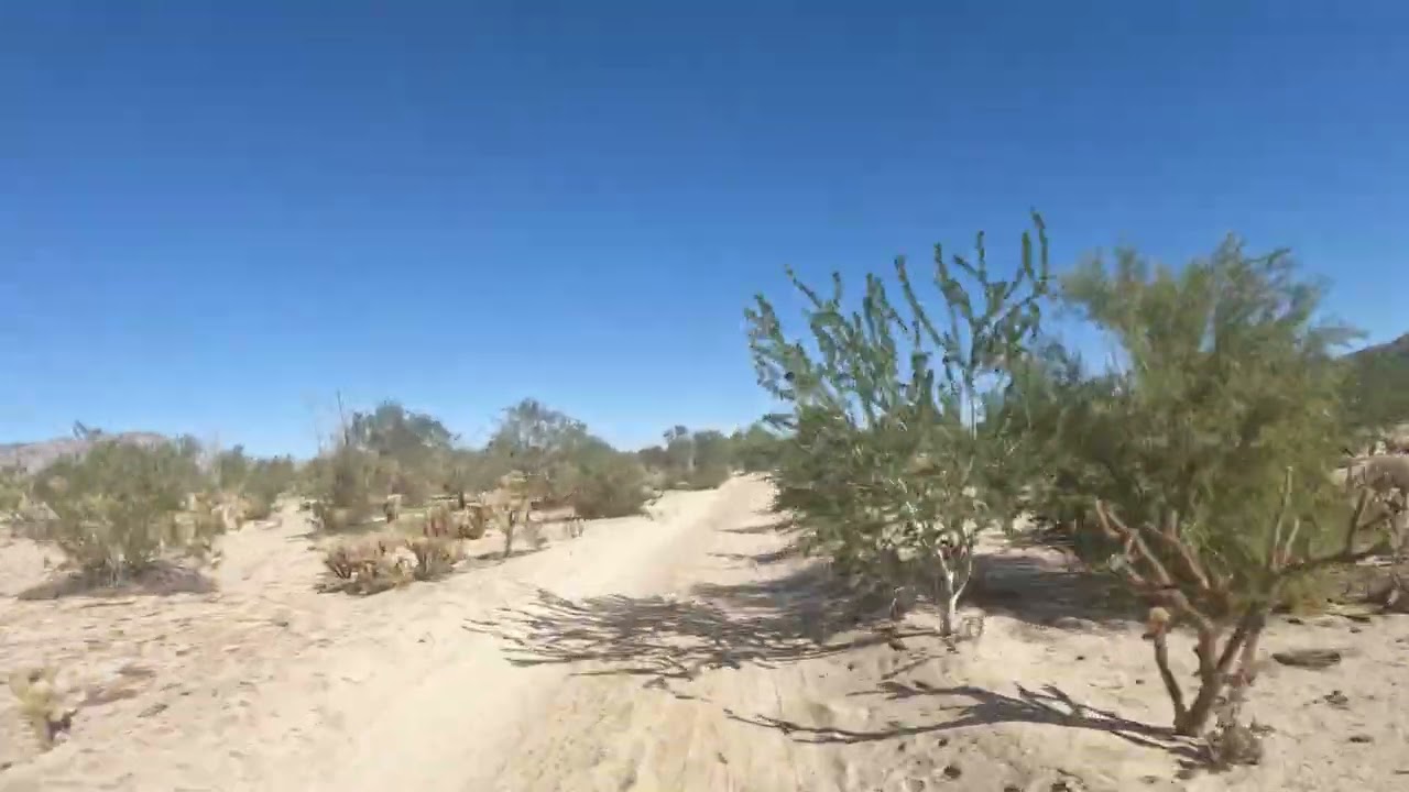 Go Baja Adventures: Sandy Trail