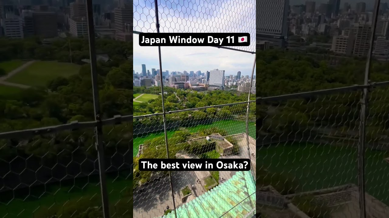 Japan Window Day 11: Osaka Castle Views 🏯🏙️ 