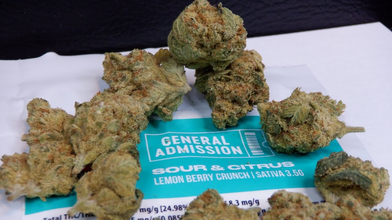 Strain Review Sour & Citrus (Lemon Berry Crunch) By General Admission