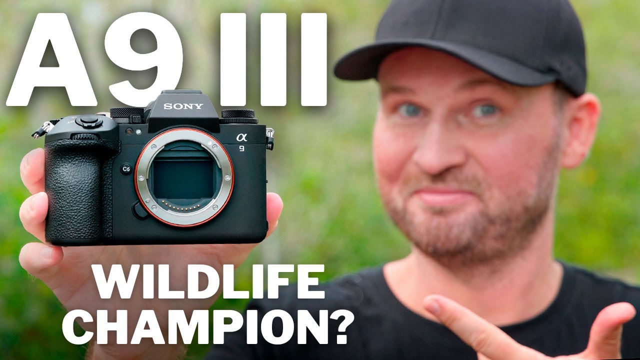 Вы можете стать фанатом экшена! | Обзор Sony A9 III