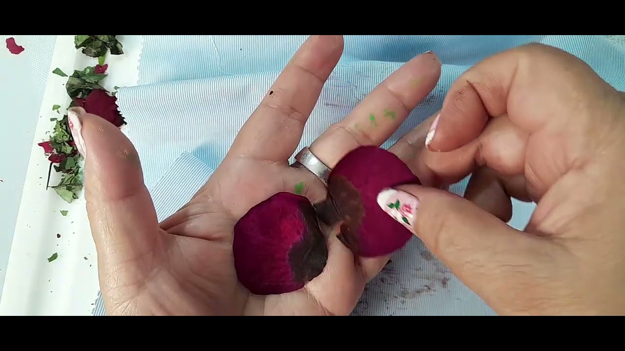 DIY COMO DESIDRATAR FLORES Y HOJAS NATURALES 🌹