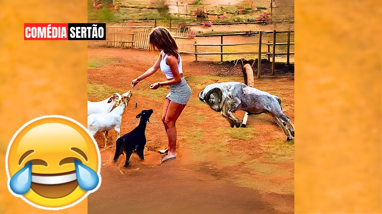 OS MELHORES MEMES DA INTERNET  | TENTE NÃO RIR #10