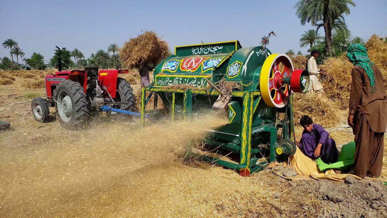 Cutting Harvesting Wheat With Thresher New Model 2019 | Agriculture In Pakistan