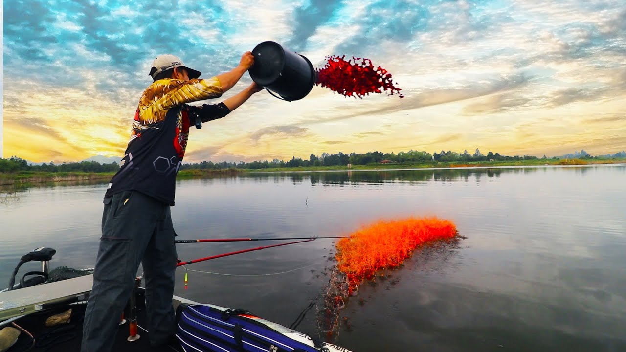 สาดเลือด ล่อปลาแด๊กคิวล่า ใช้ชิงหลิวงัด จะอยู่หรือจะไป P.NU FISHING