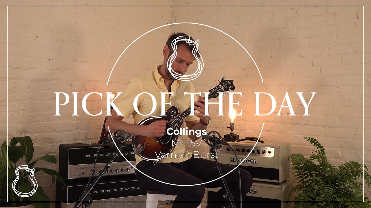 Pick of the Day: Collings MF-5V Mandolin