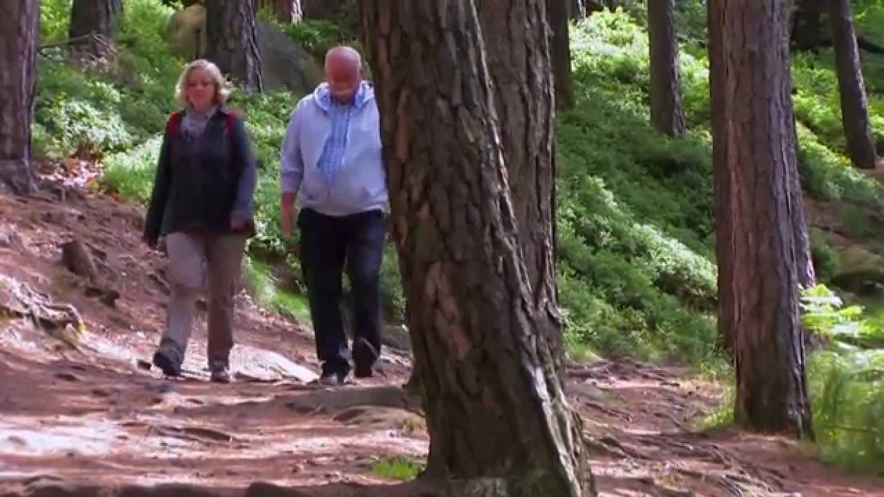 Große Kalmit - Maikammer Rheinland Pfalz