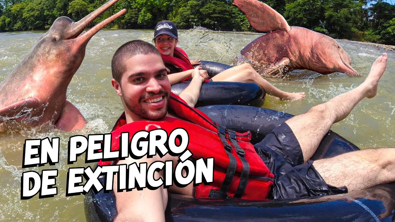 Tubbing en la SELVA donde habitan DELFINES ROSADOS - Amazonía Ecuatoriana