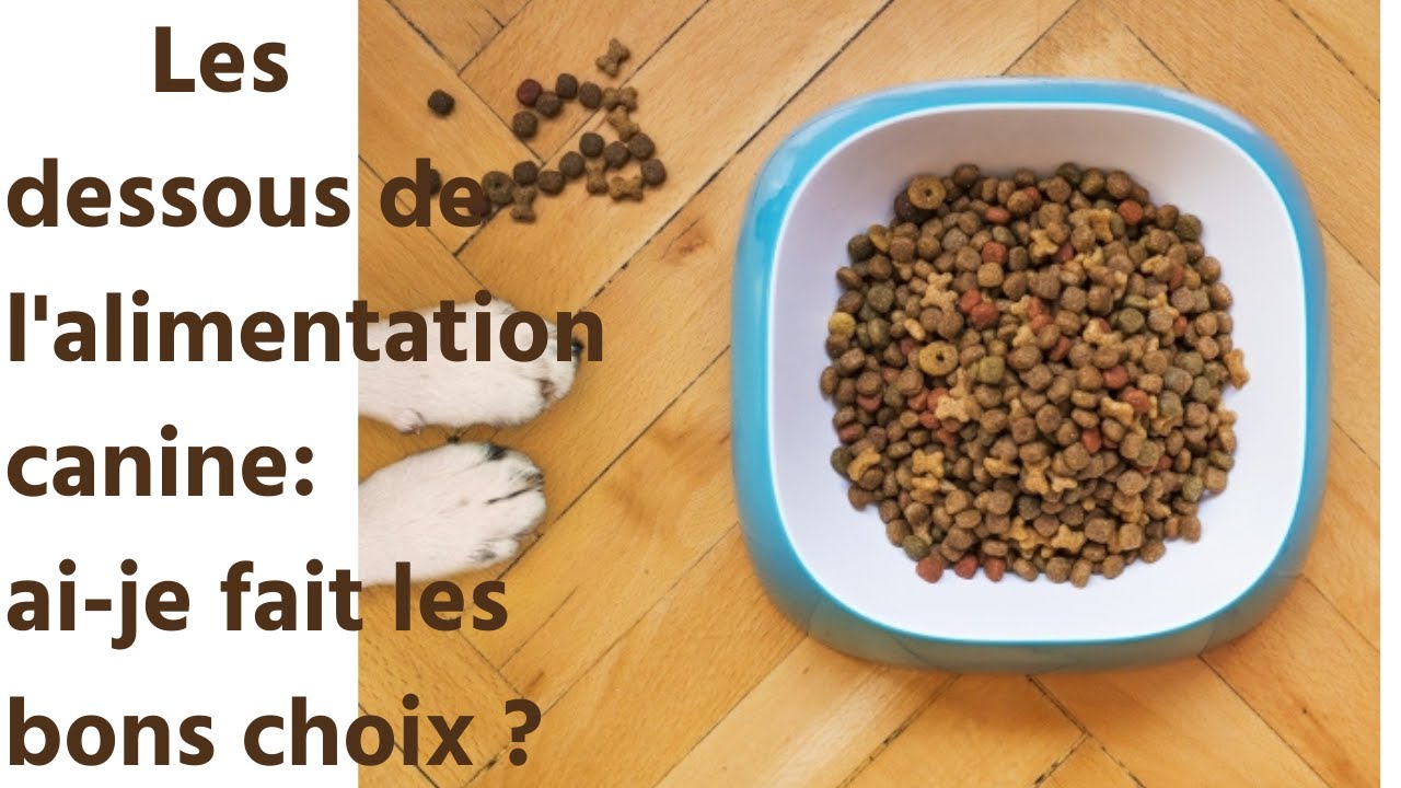 Les dessous de l'alimentation canine