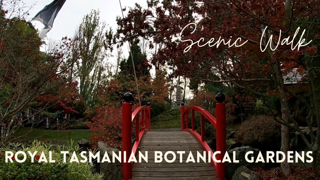 Autumn at the Royal Tasmanian Botanical Gardens