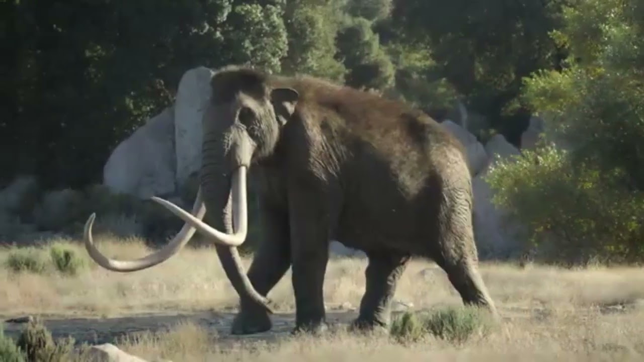 Prehistoric Planet: Ice Age [2025] - Mammuthus columbi Screen Time