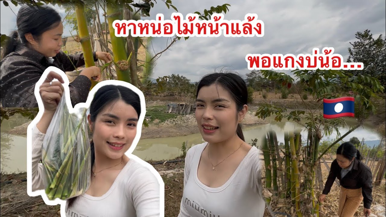 อยากกินแกงหน่อไม้สดมากชวนเพื่อนมาหาหน่อไม้(แหนงหน่อไม้)จะได้พอแกงมั้ยหน้อ😅 #ติกสาวลาวล้องชาน #สาวลาว